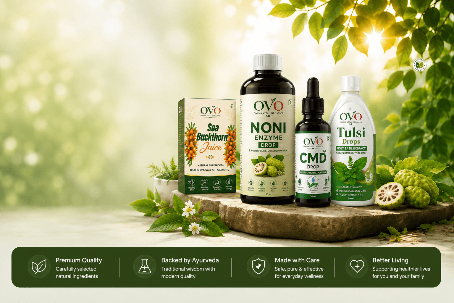 The OVO wellness collection — Sea Buckthorn Juice, Noni Enzyme Drop, CMD Drop and Tulsi Drops on a stone pedestal among fresh leaves